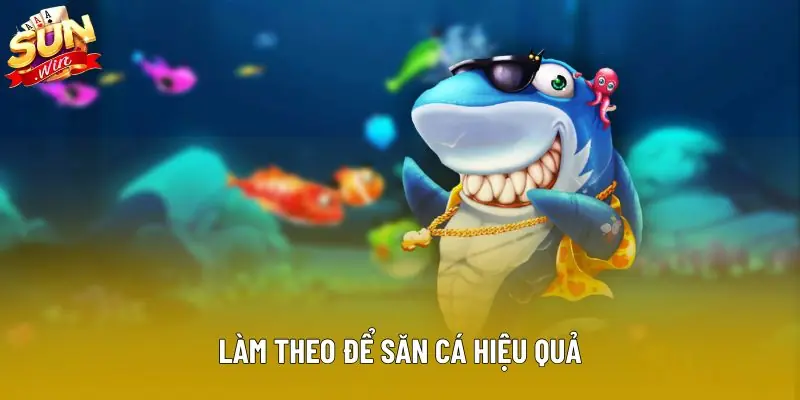 Làm theo để săn cá hiệu quả Làm theo để săn cá hiệu quả